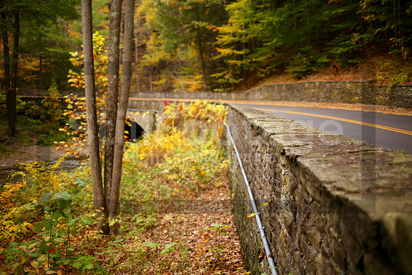 Autumn Drive